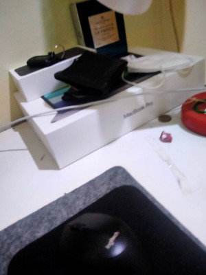 Buku Hewan Peliharaan
